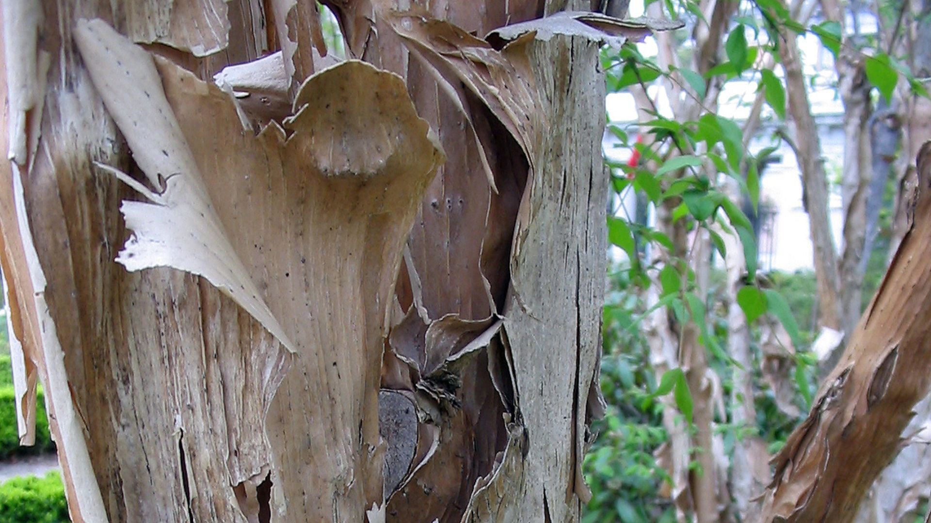 687-Billeder i mails og artikler (1920 × 1080px) - 2024-01-03T152456.019.jpg