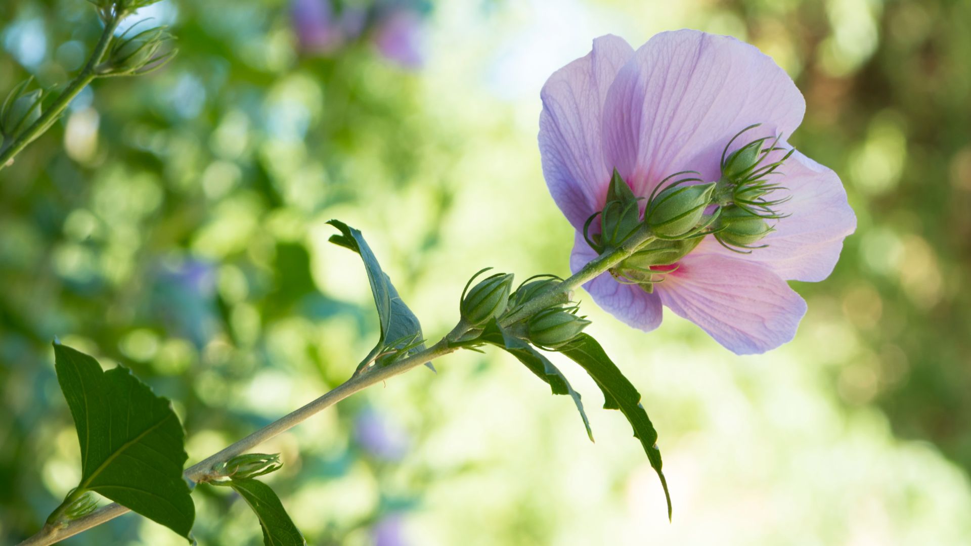 688-Billeder i mails og artikler (1920 × 1080px) - 2023-07-18T121449.204.jpg