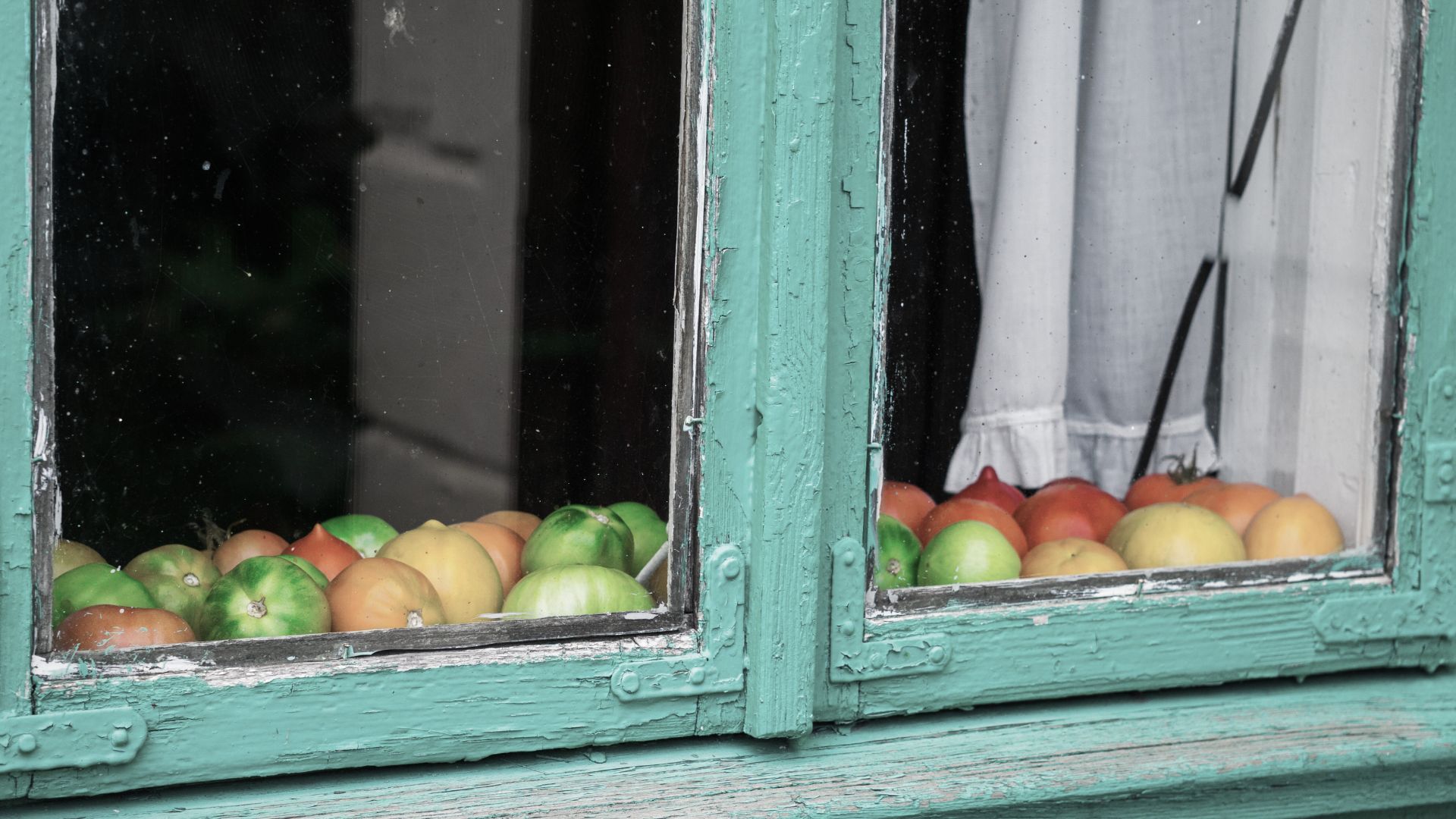 688-Billeder i mails og artikler (1920 × 1080px) - 2024-02-07T113131.150.jpg