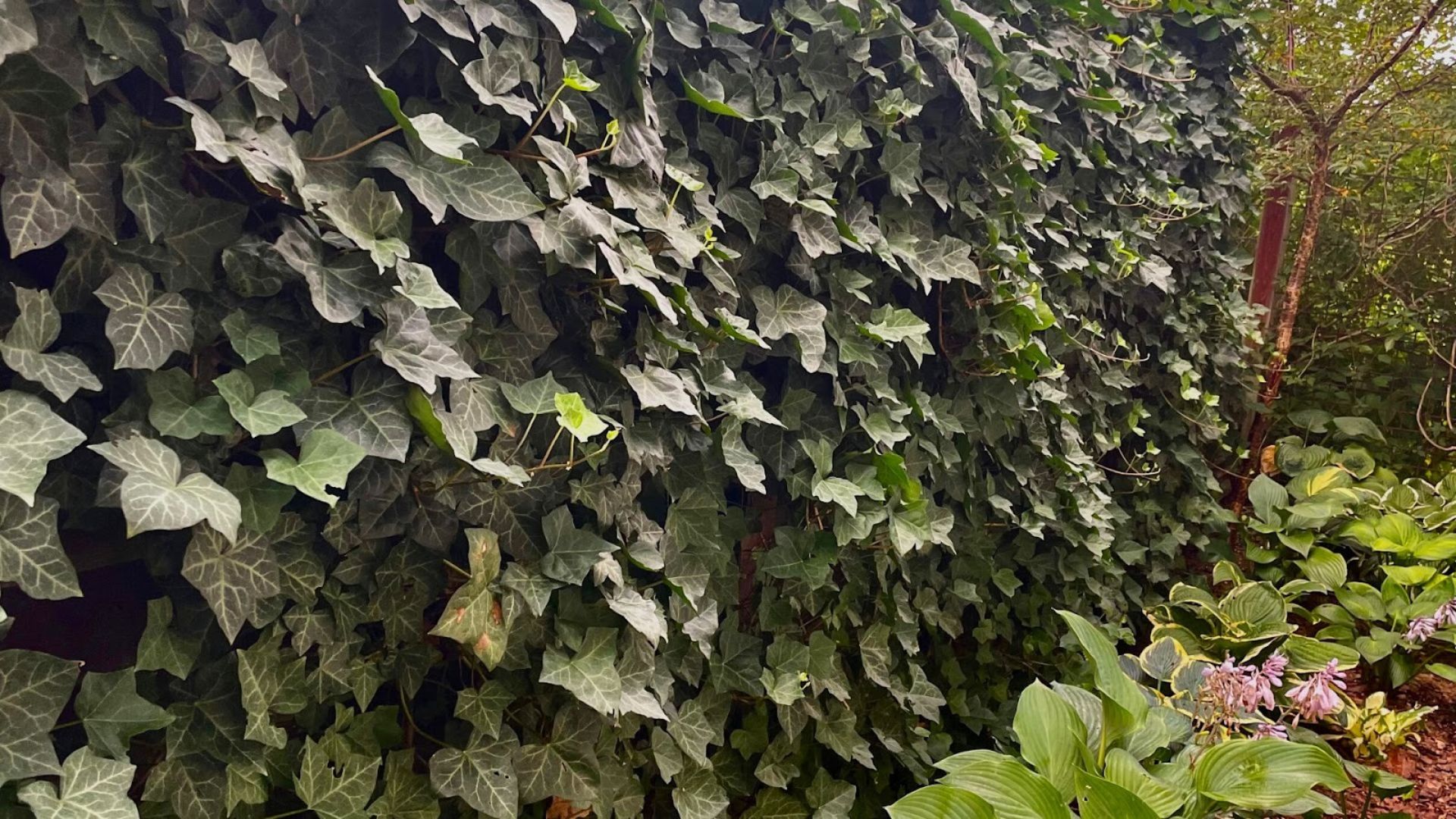 695-Billeder i mails og artikler (1920 × 1080px) (19).jpg