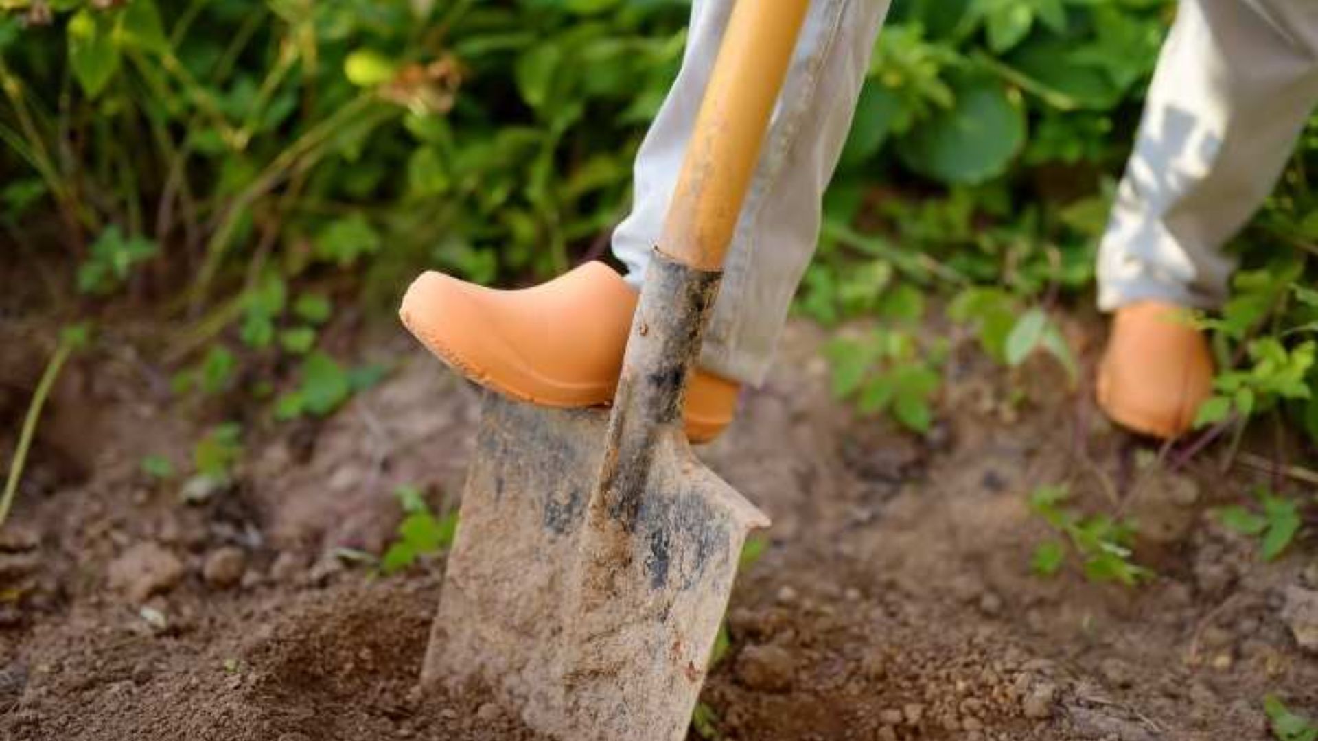 697-Billeder i mails og artikler (1920 × 1080px) (7).jpg