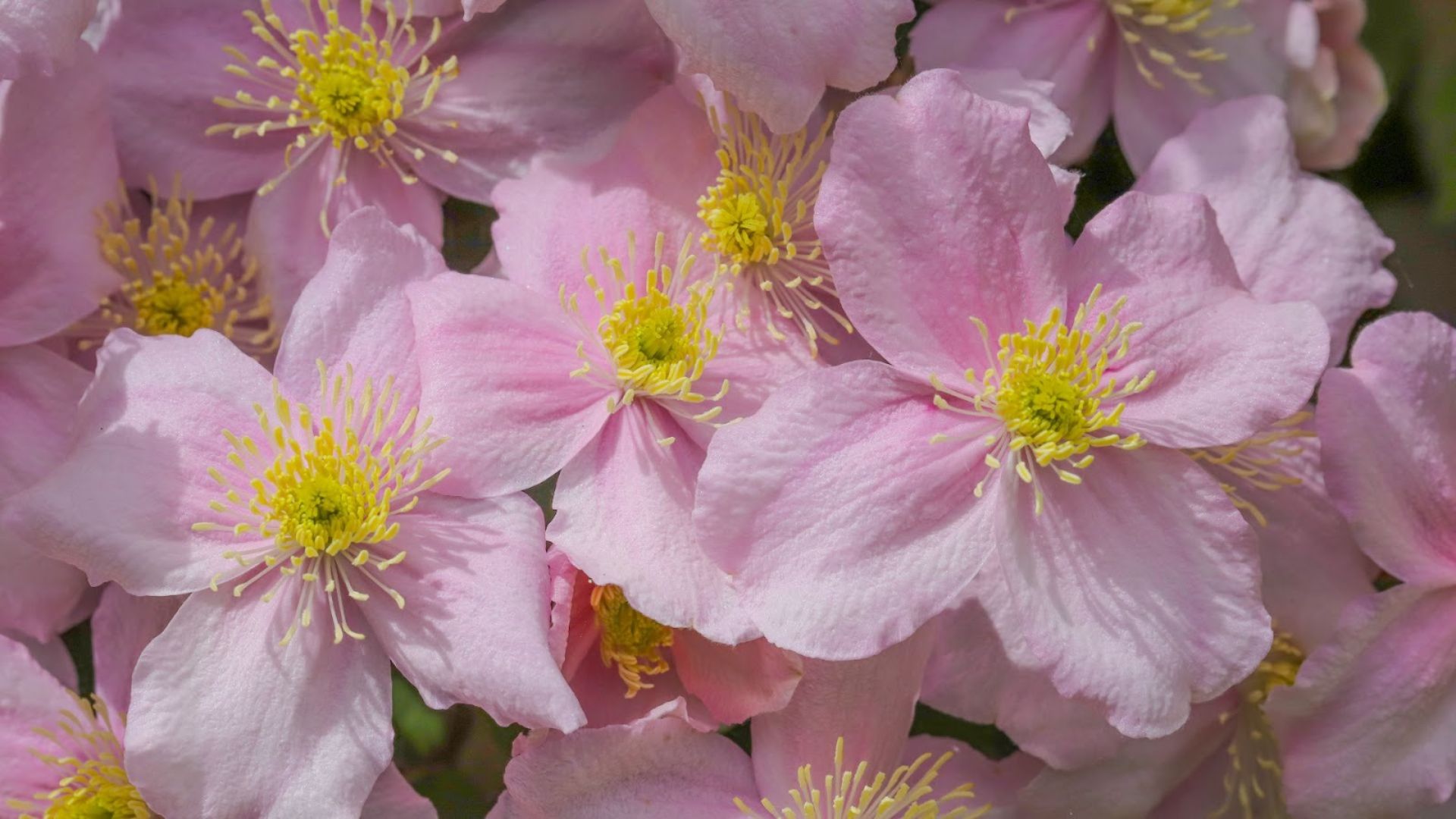 699-Billeder i mails og artikler (1920 × 1080px) (21).jpg