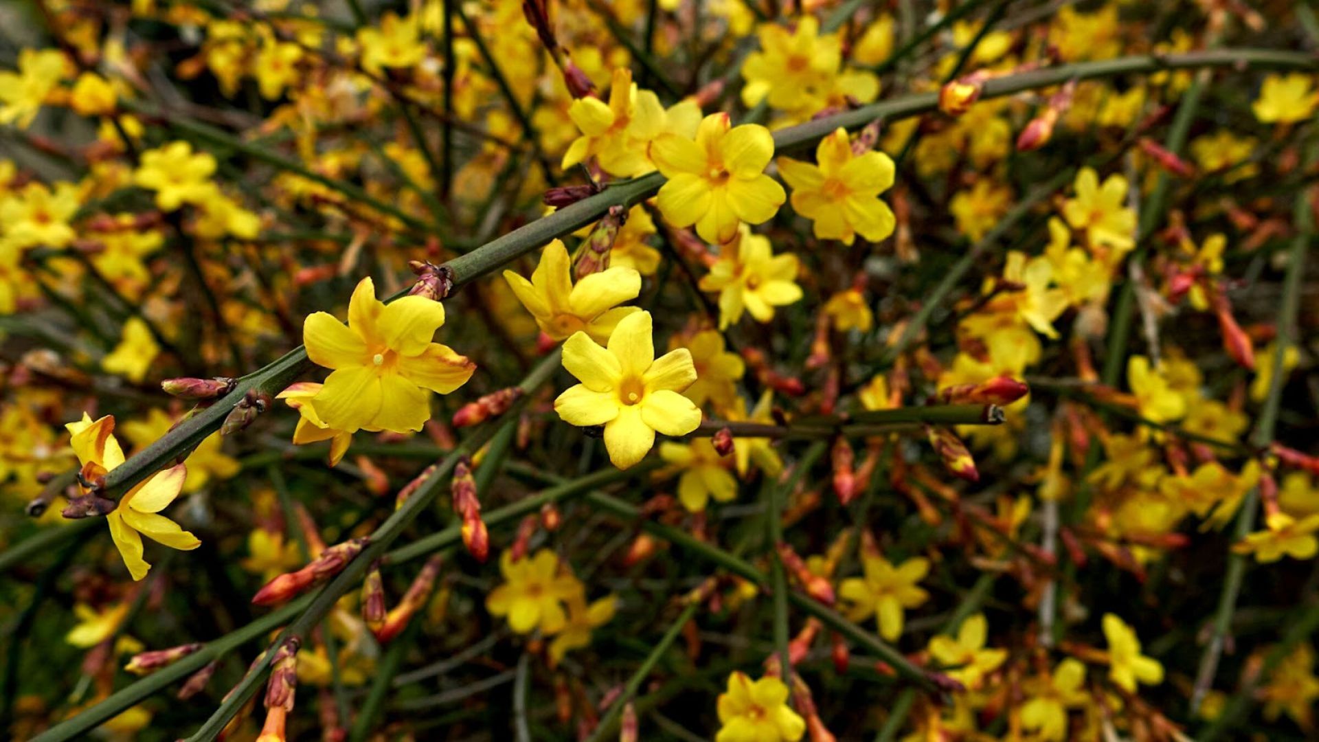 714-Billeder i mails og artikler (1920 × 1080px) (33).jpg