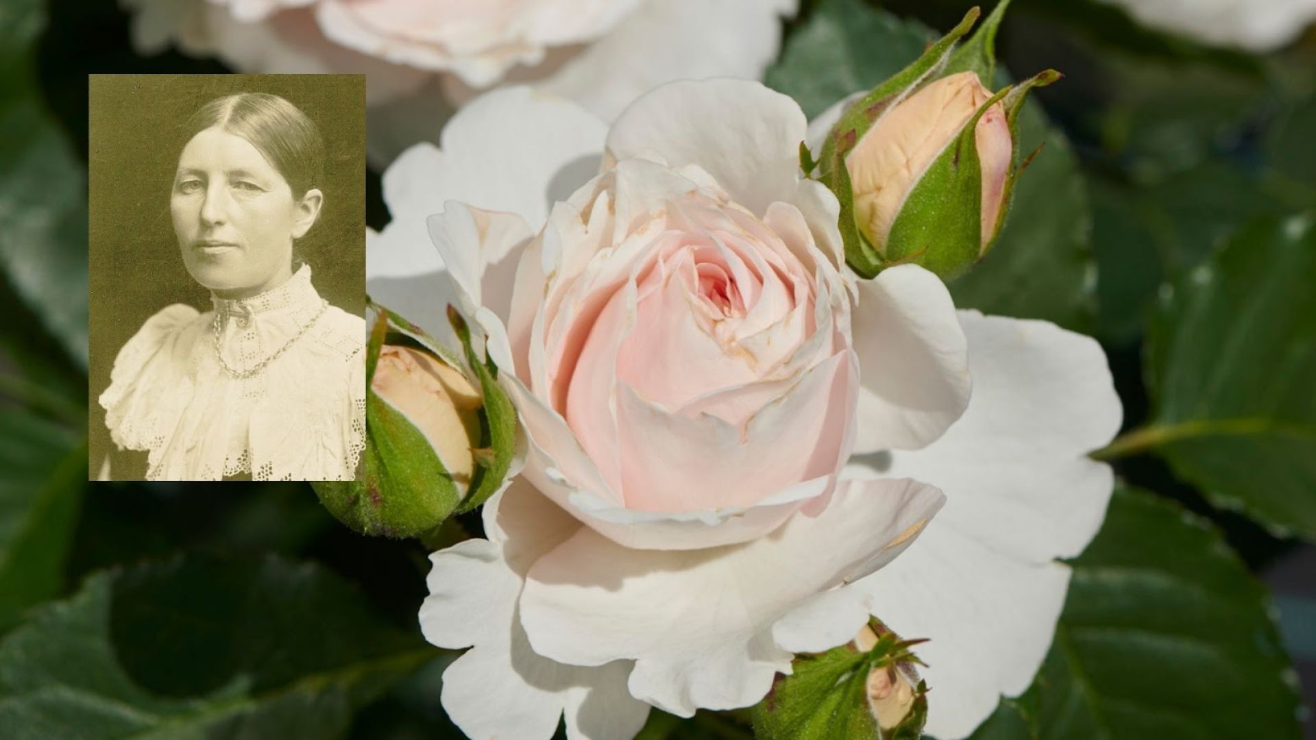 718-Billeder i mails og artikler (1920 × 1080px) (20).jpg