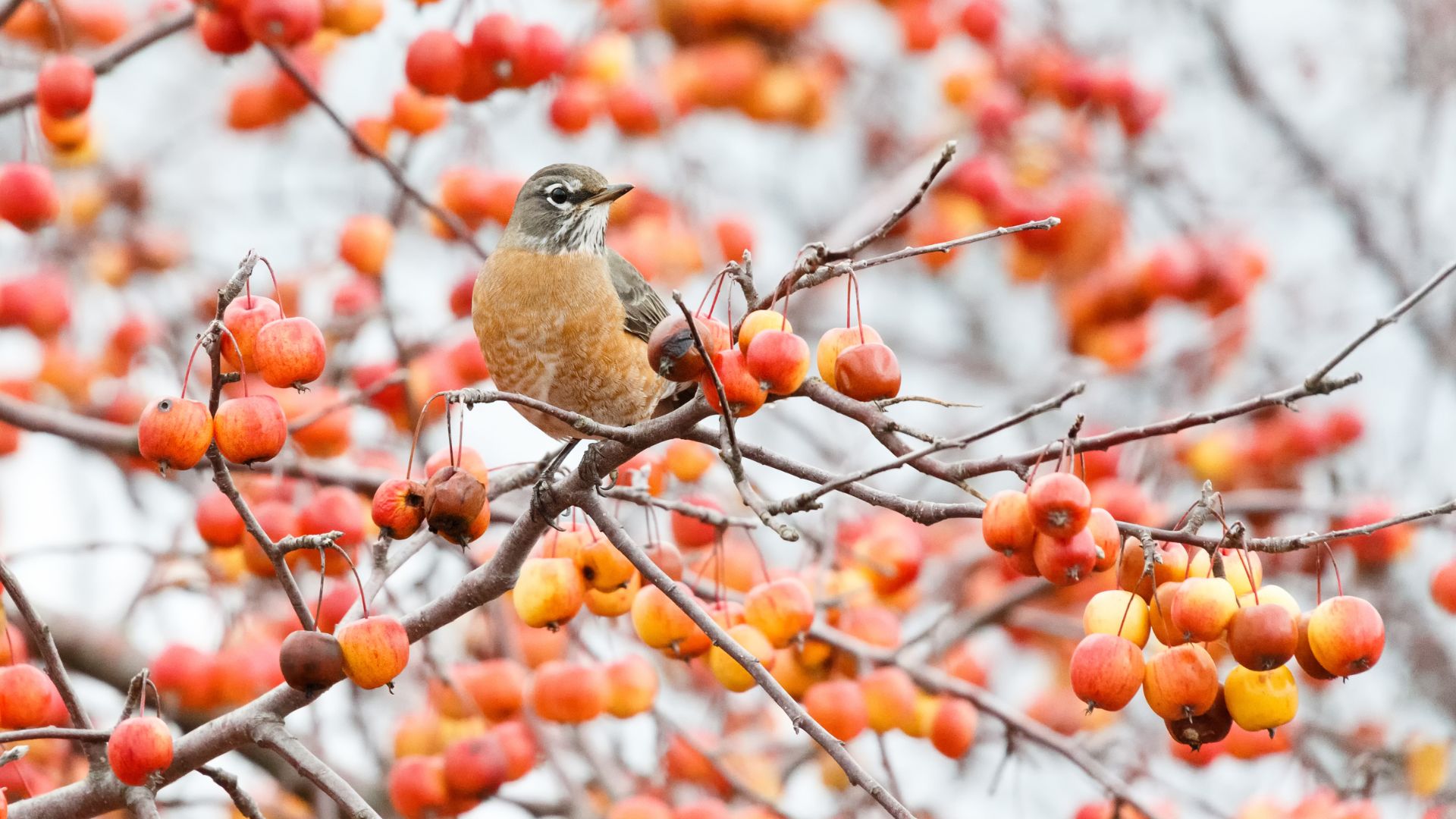 725-Billeder i mails og artikler (1920 × 1080px) - 2024-02-06T170831.925.jpg