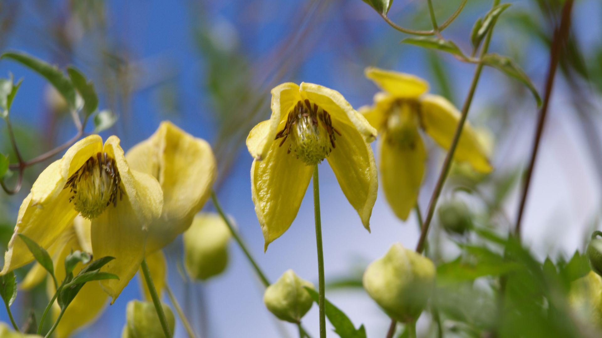 726-Billeder i mails og artikler (1920 × 1080px) - 2023-10-30T091737.790.jpg