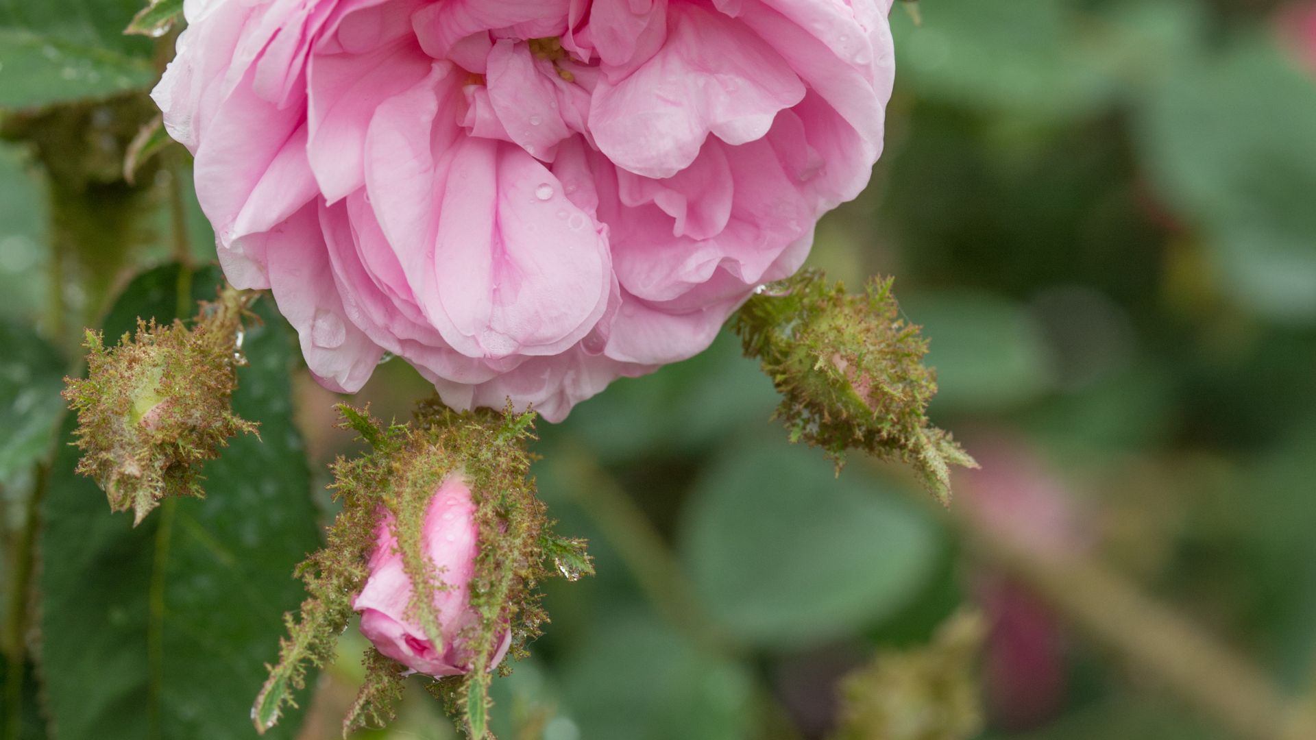 728-Billeder i mails og artikler (1920 × 1080px) - 2023-07-12T102541.667.jpg