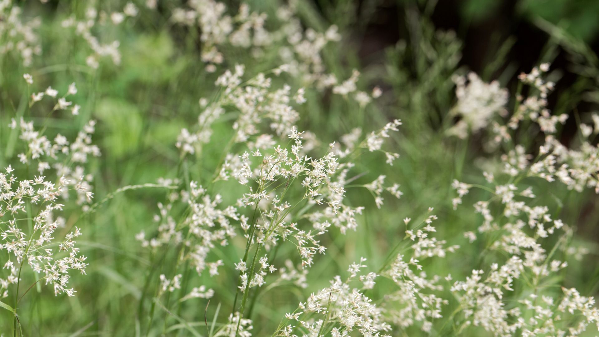 731-Billeder i mails og artikler (1920 × 1080px) (59).jpg