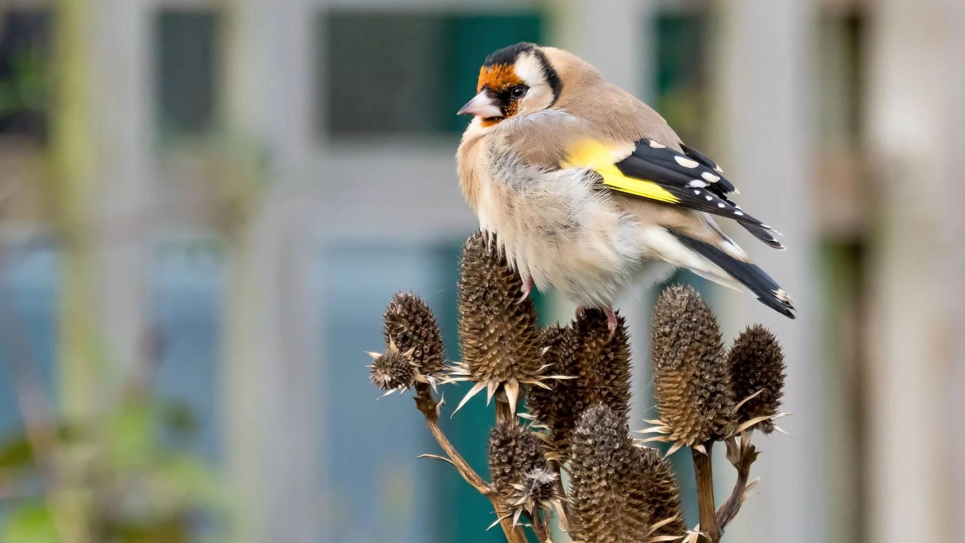 732-Billeder i mails og artikler (1920 × 1080px) - 2023-12-01T112716.174.jpg