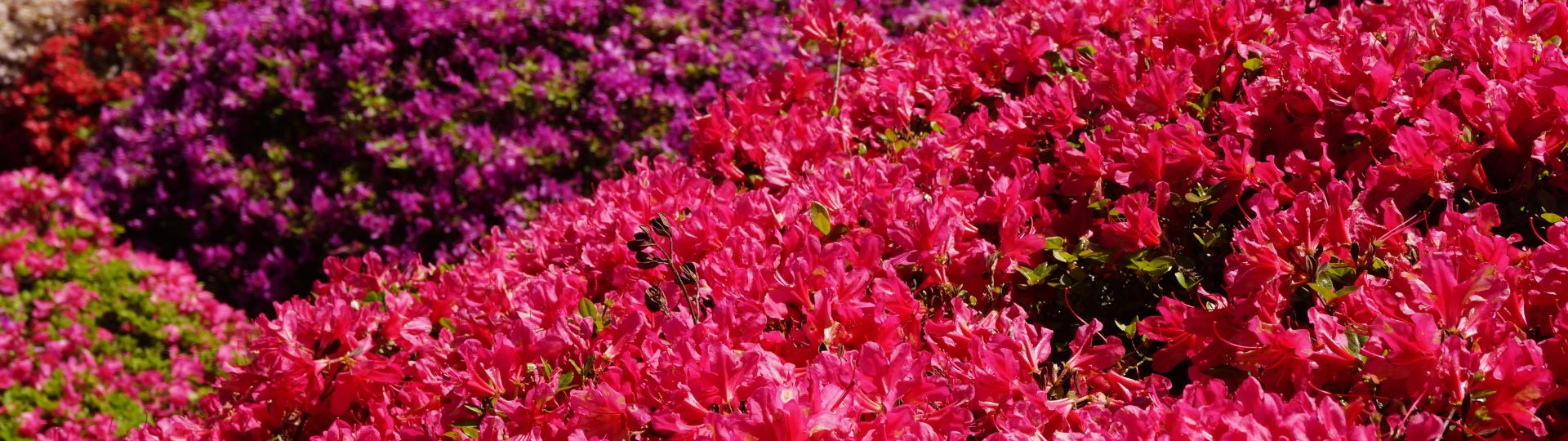 732-til lister (1920 × 540px) - 2024-05-28T144722.513.jpg