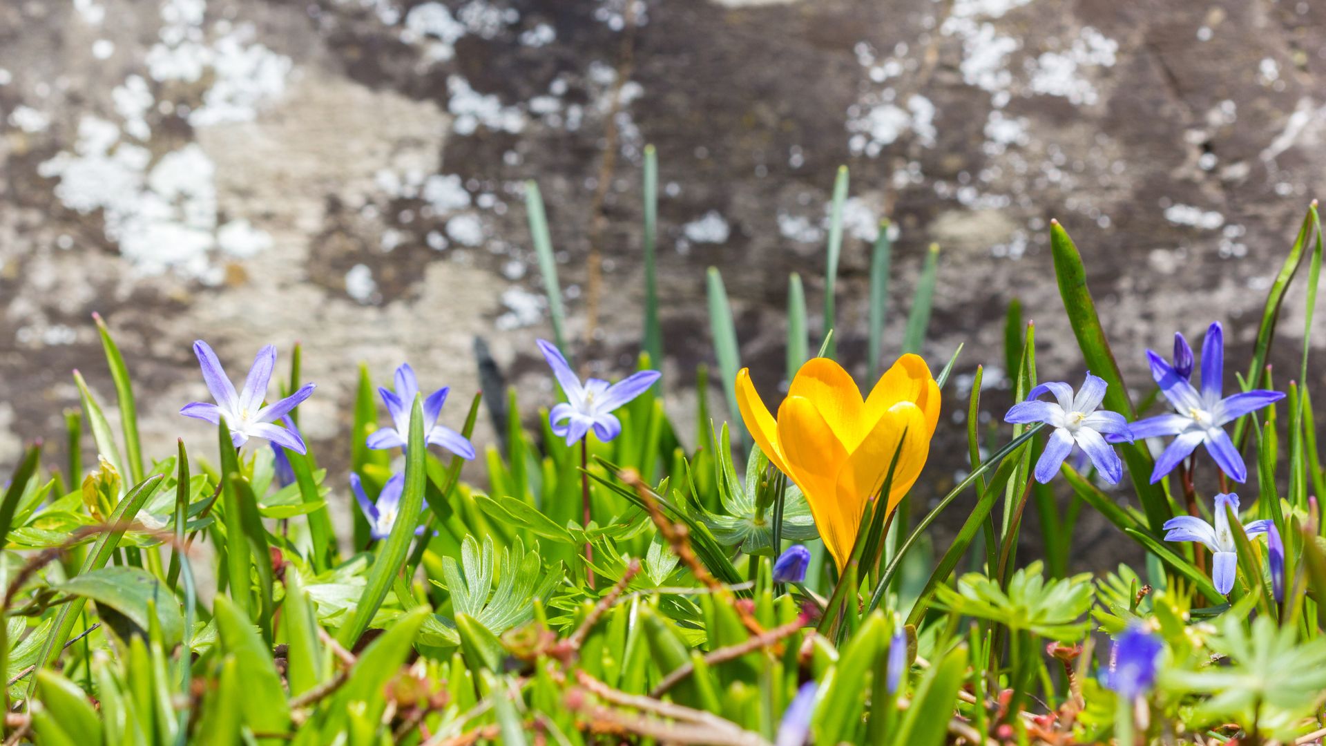 738-Billeder i mails og artikler (1920 × 1080px) - 2023-11-08T131716.308.jpg