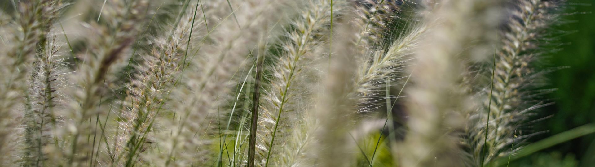 741-til lister (1920 × 540px) (9).jpg