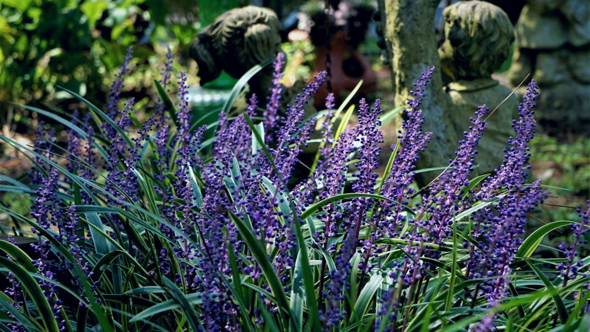 745-Billeder i mails og artikler (1920 × 1080px) (16).jpg