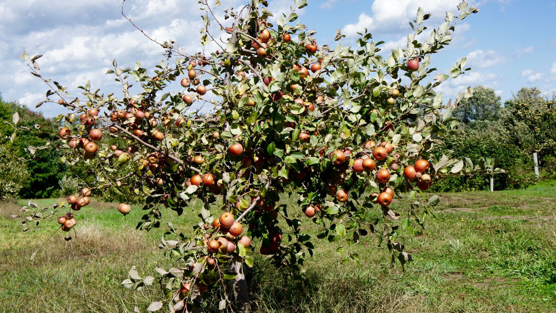 748-Billeder i mails og artikler (1920 × 1080px) - 2024-02-19T161622.732.jpg