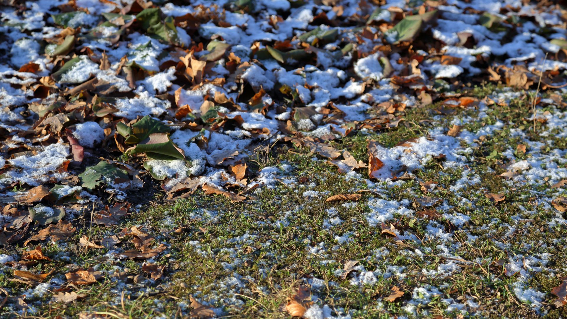 749-Billeder i mails og artikler (1920 × 1080px) (36).jpg