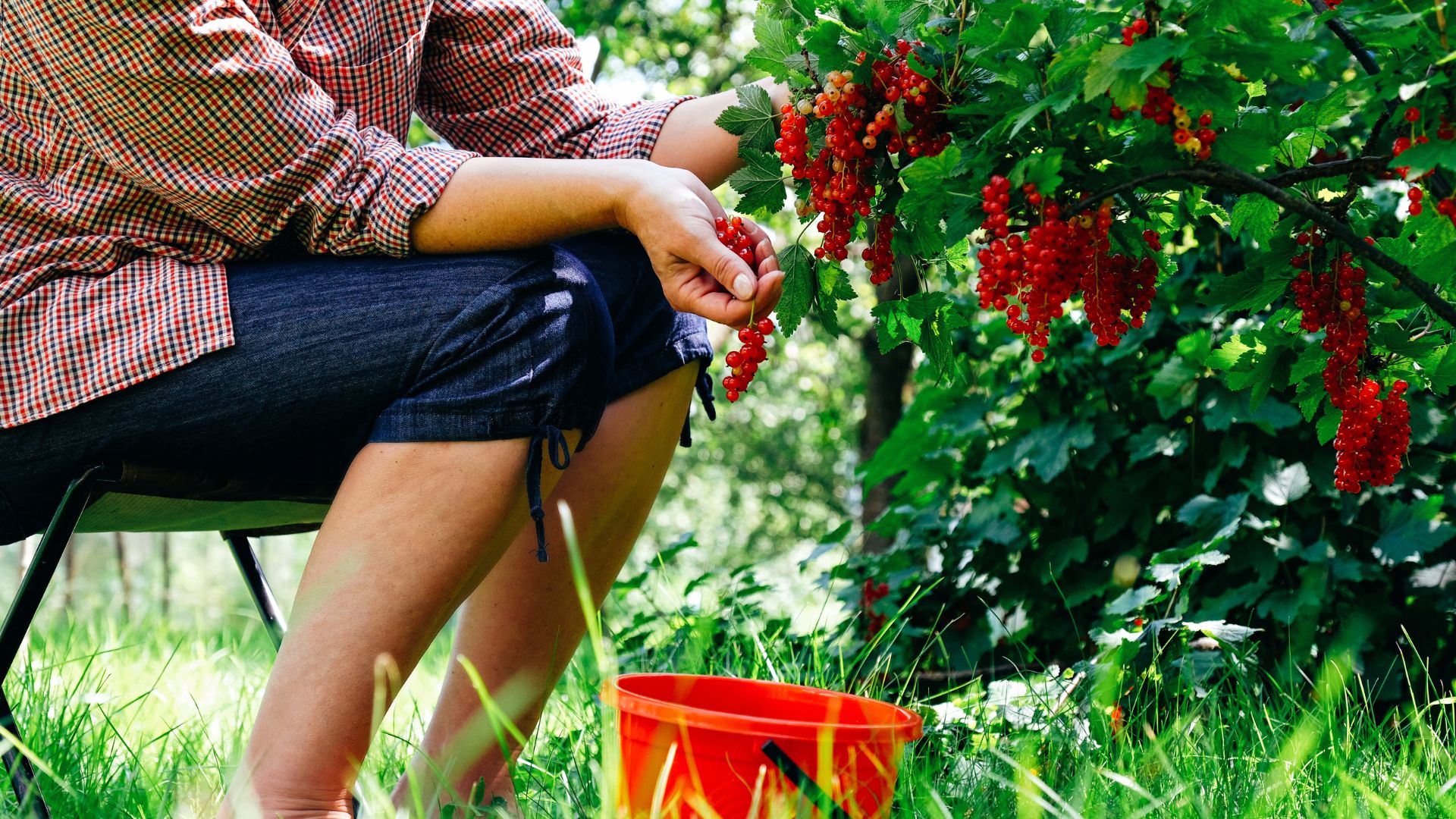 762-Billeder i mails og artikler (1920 × 1080px) - 2024-01-30T085725.855.jpg