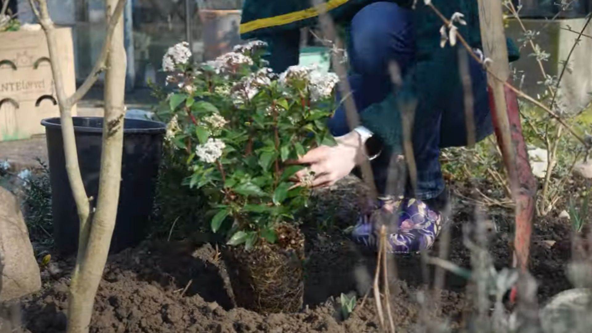 763-Billeder i mails og artikler (1920 × 1080px) - 2024-01-24T155308.694.jpg