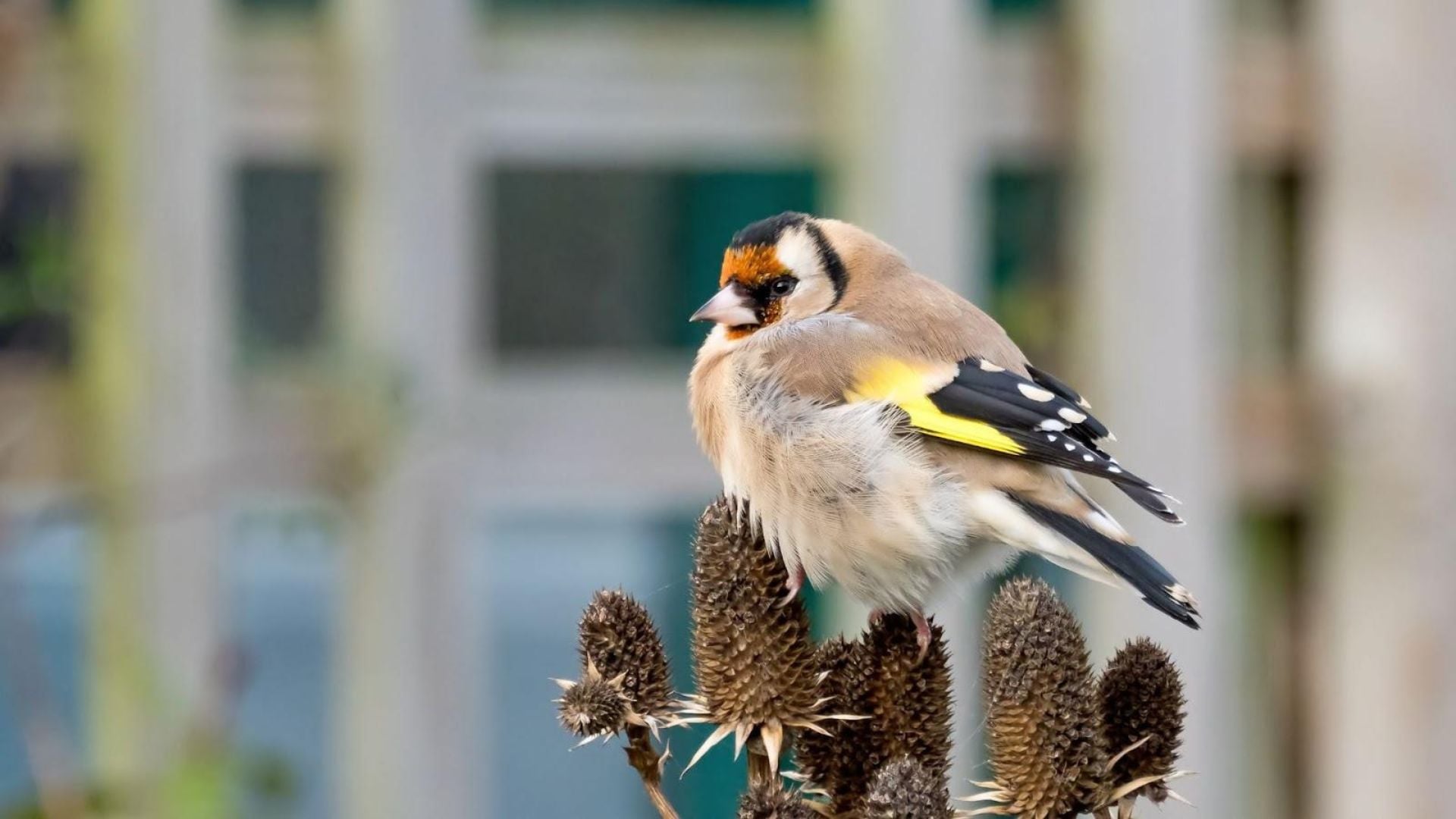 766-Billeder i mails og artikler (1920 × 1080px) - 2023-12-11T154749.483.jpg