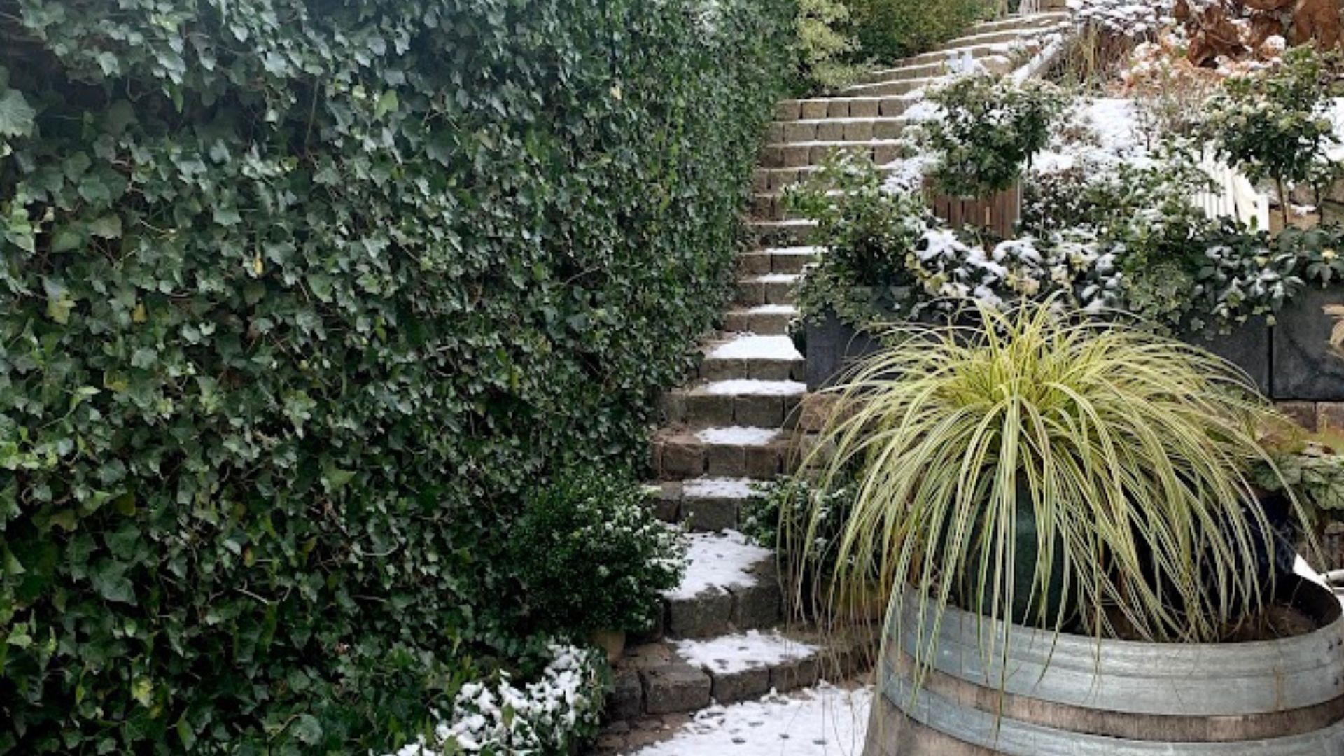 779-Billeder i mails og artikler (1920 × 1080px) (58).jpg