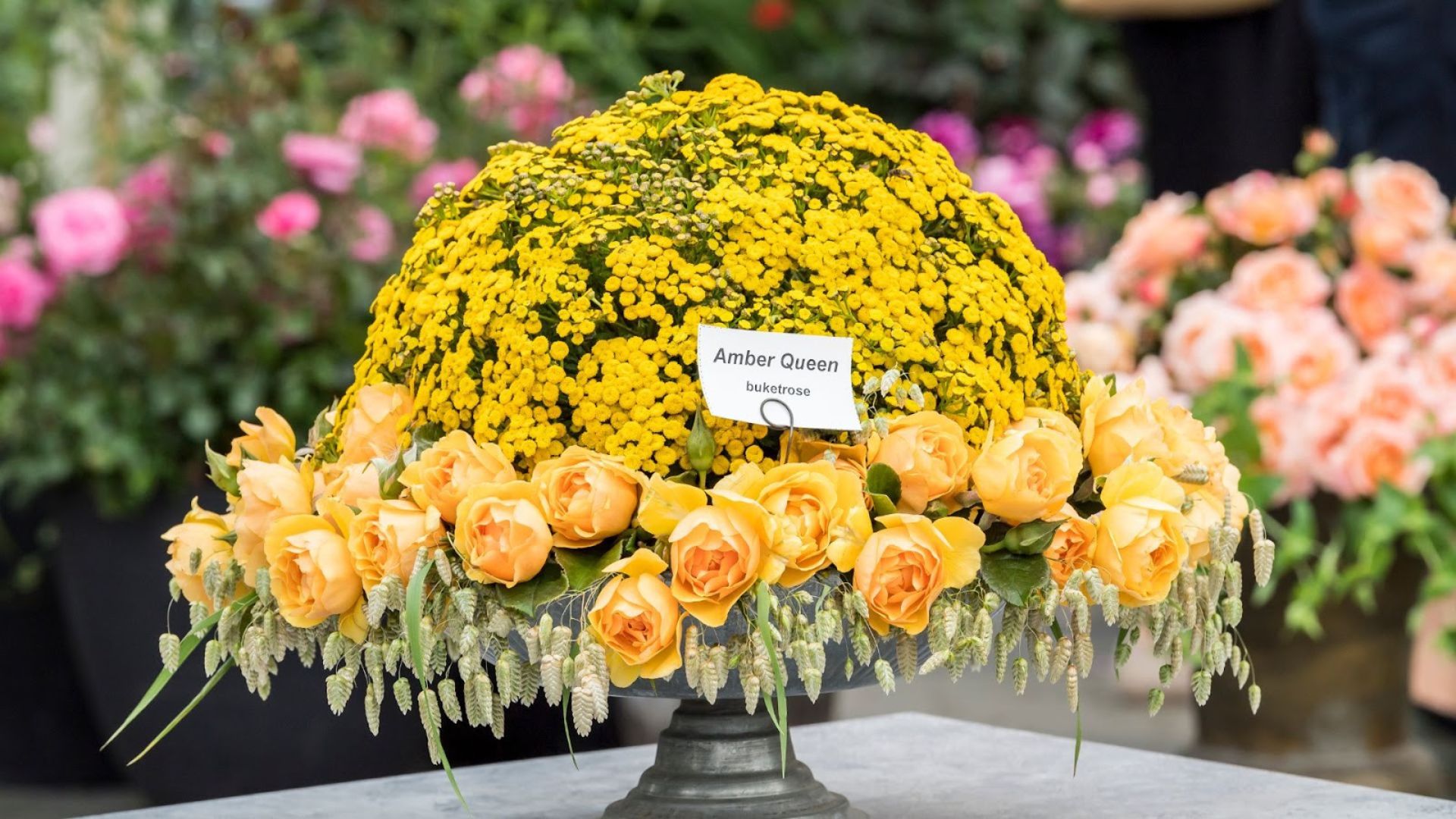 781-Billeder i mails og artikler (1920 × 1080px) (34).jpg