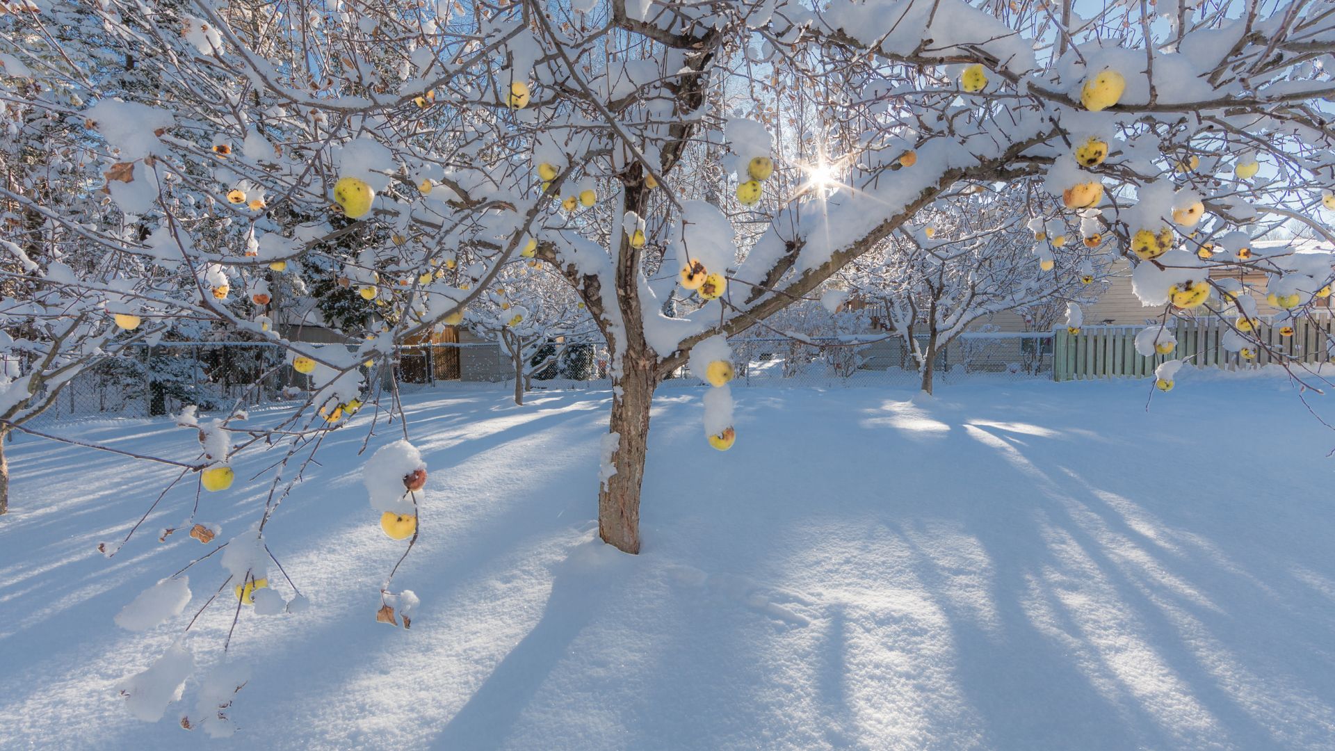 789-Billeder i mails og artikler (1920 × 1080px) - 2023-06-13T093112.343.jpg