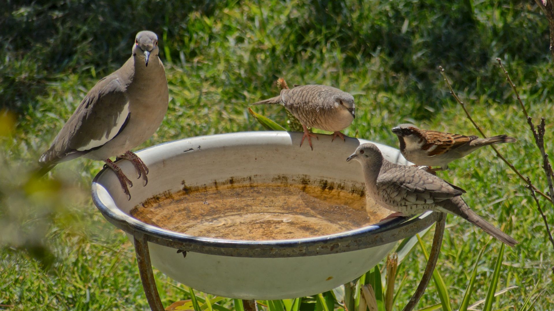 793-Billeder i mails og artikler (1920 × 1080px) - 2023-12-01T114423.110.jpg