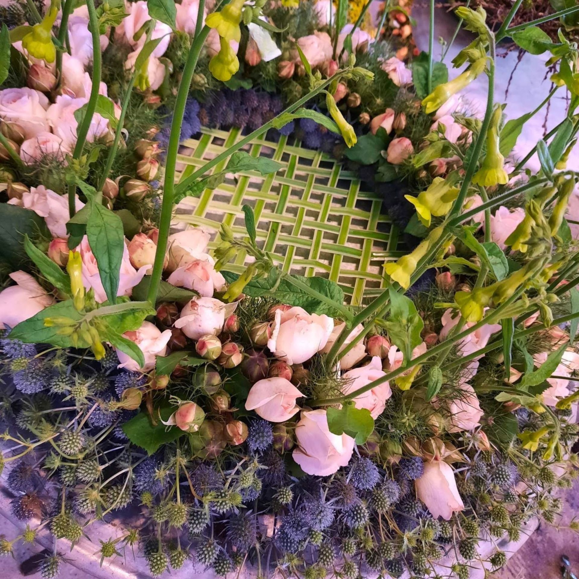 797-Unavngivet (1920 × 1920px) (13).jpg