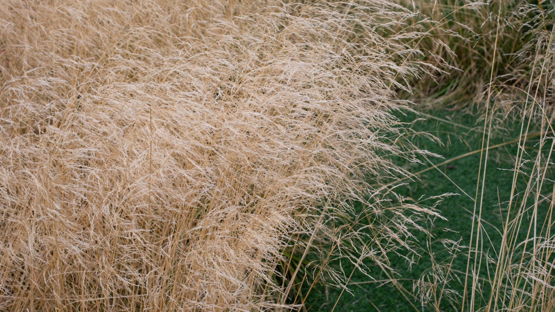 801-Billeder i mails og artikler (1920 × 1080px) (47).jpg