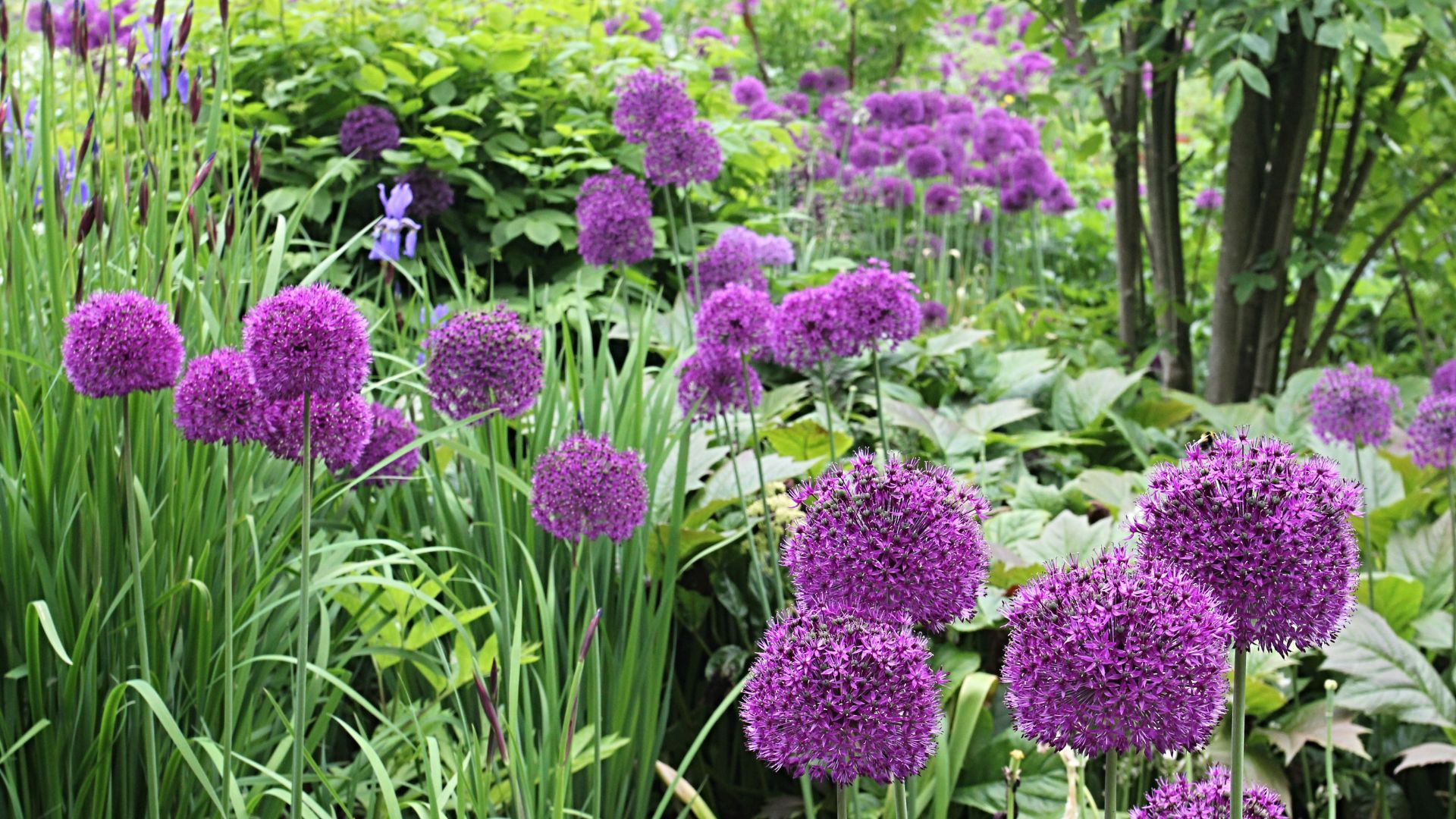 802-Billeder i mails og artikler (1920 × 1080px) (60).jpg