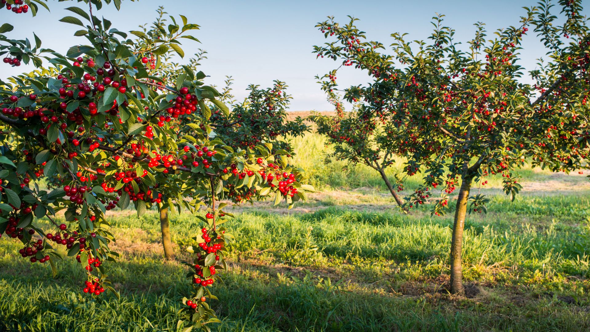 809-Billeder i mails og artikler (1920 × 1080px) (33).jpg