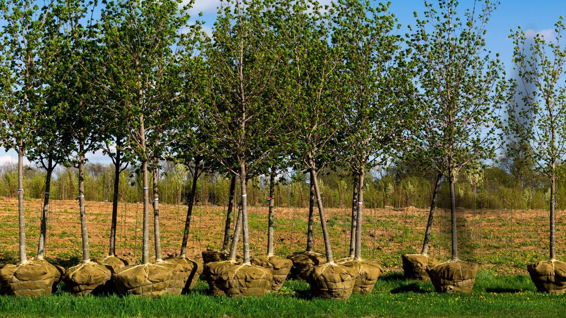 81-Billeder i mails og artikler (1920 × 1080px) - 2023-10-31T135628.521.jpg