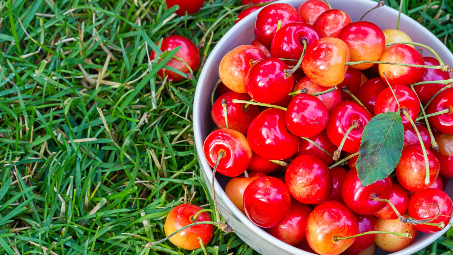 810-Billeder i mails og artikler (1920 × 1080px) (31).jpg