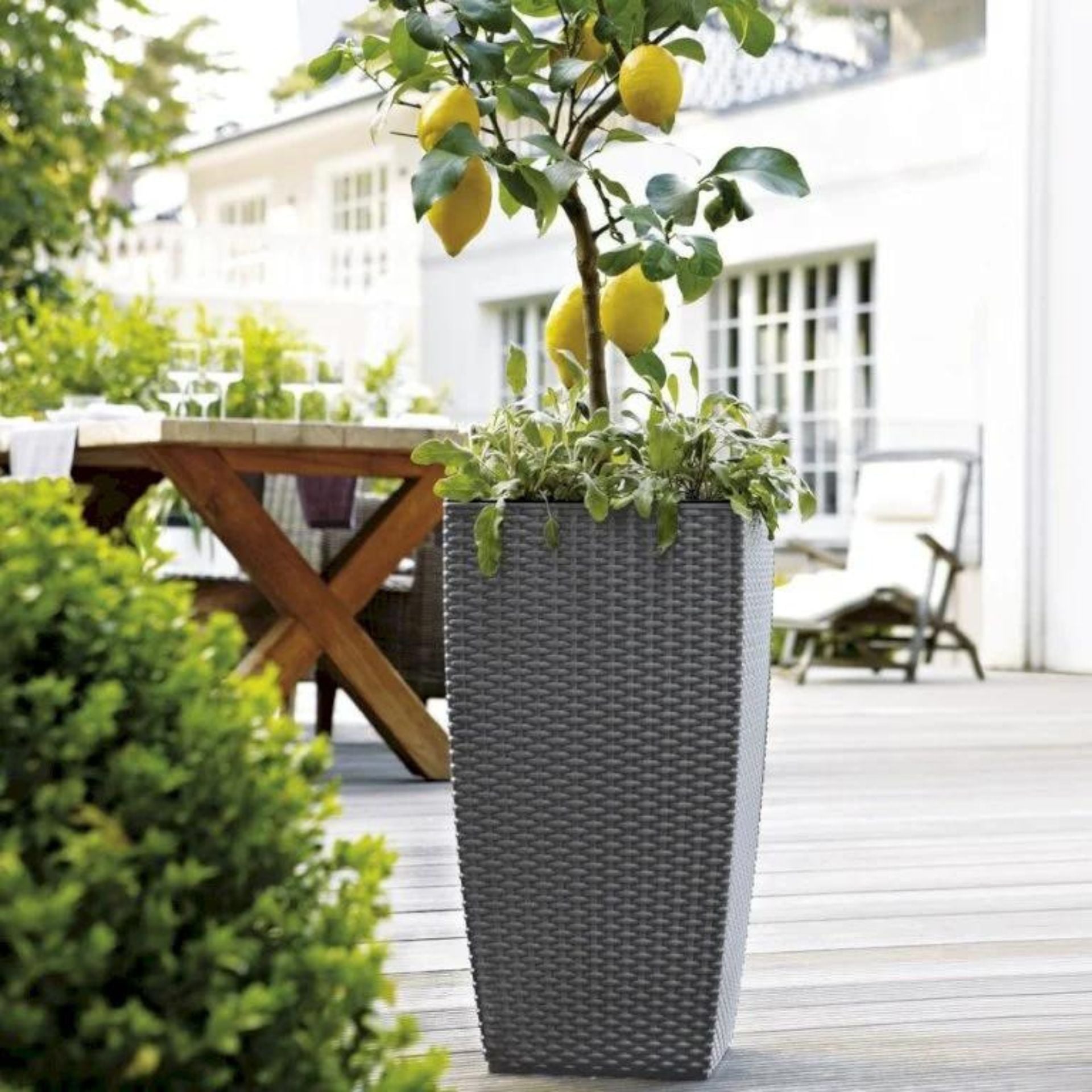 825-Unavngivet (1920 × 1920px) (10).jpg