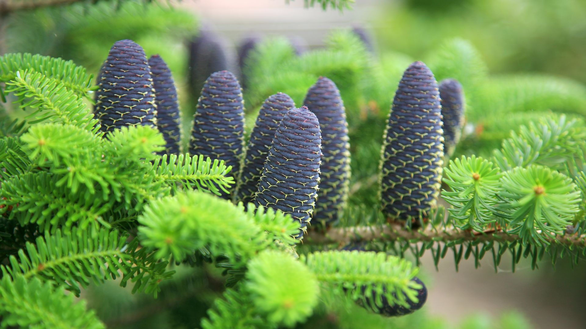 826-Billeder i mails og artikler (1920 × 1080px) (20).jpg