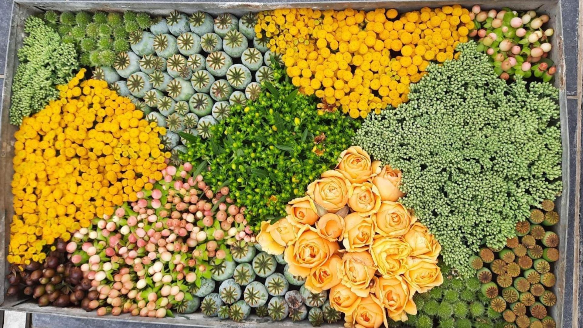 829-Billeder i mails og artikler (1920 × 1080px) (30).jpg