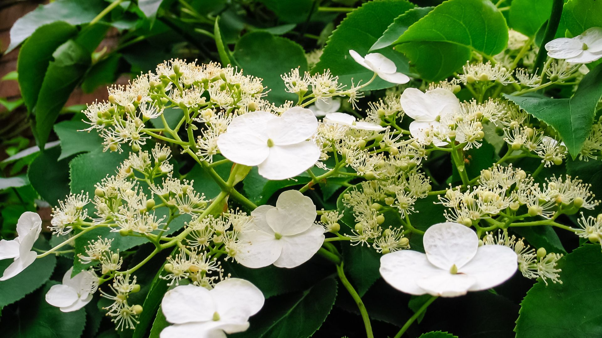 839-Billeder i mails og artikler (1920 × 1080px) - 2024-01-03T120634.832.jpg