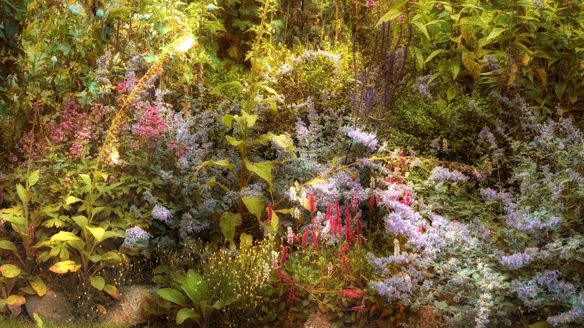 841-974-Billeder i mails og artikler (1920 × 1080px) - 2023-07-27T121926.875.jpg