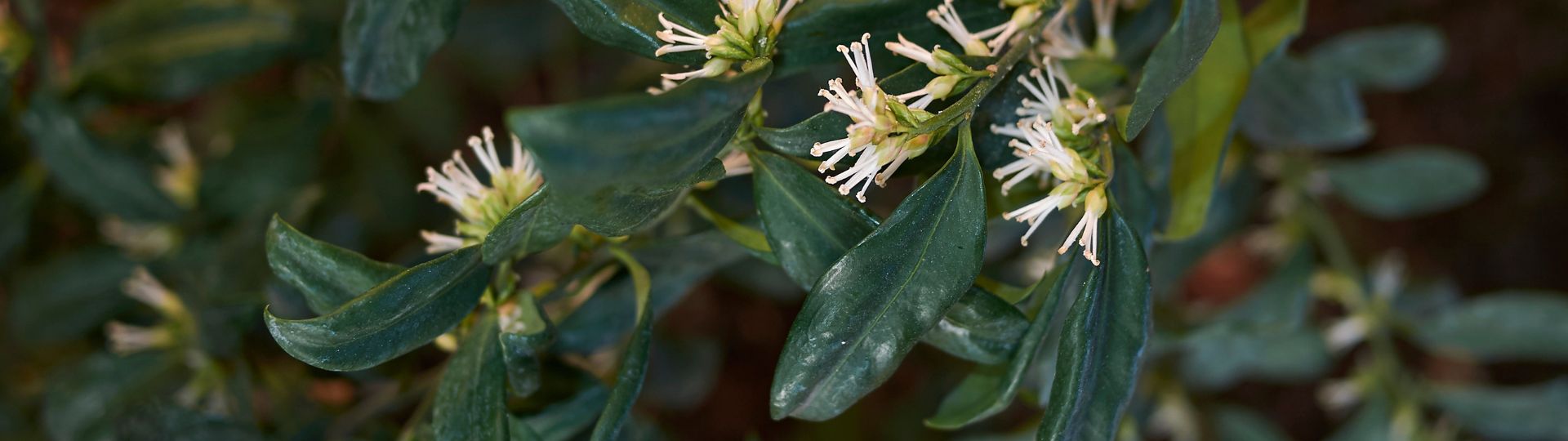 841-til lister (1920 × 540px) (12).jpg