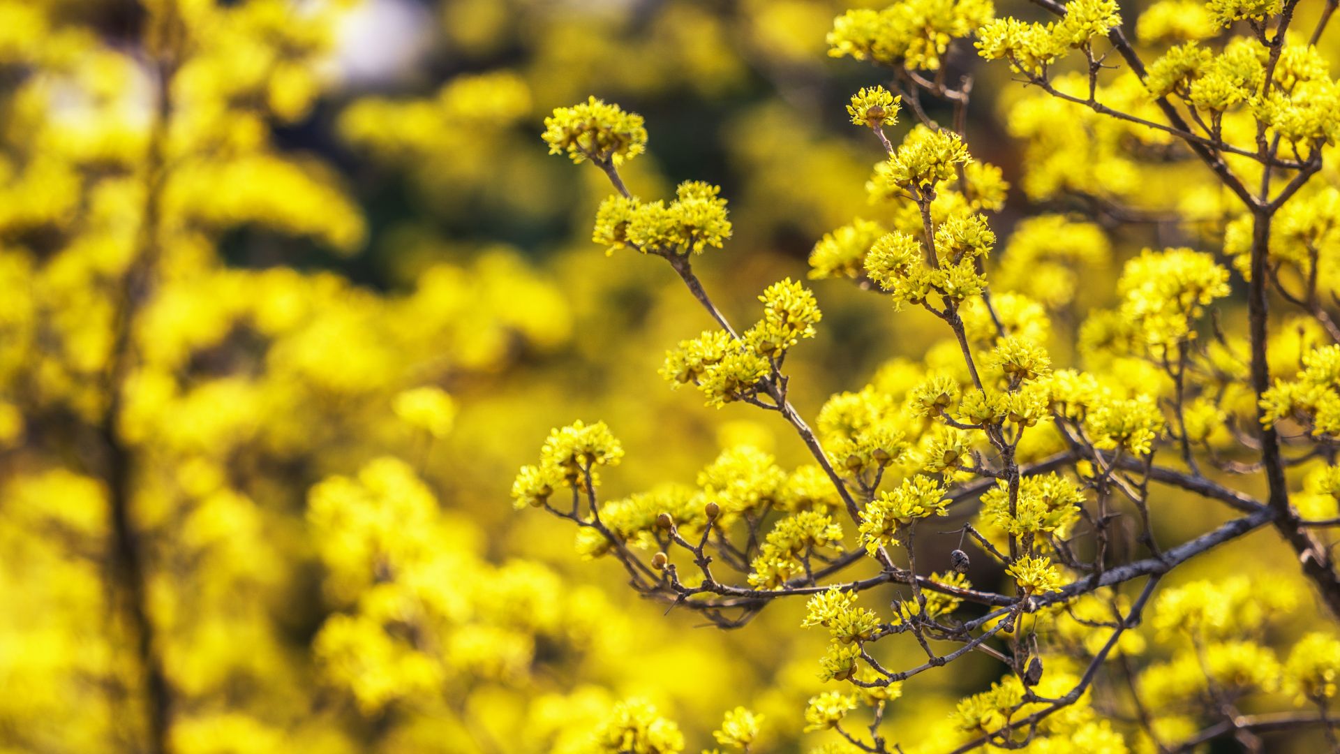 842-Billeder i mails og artikler (1920 × 1080px) - 2024-03-05T140721.903.jpg