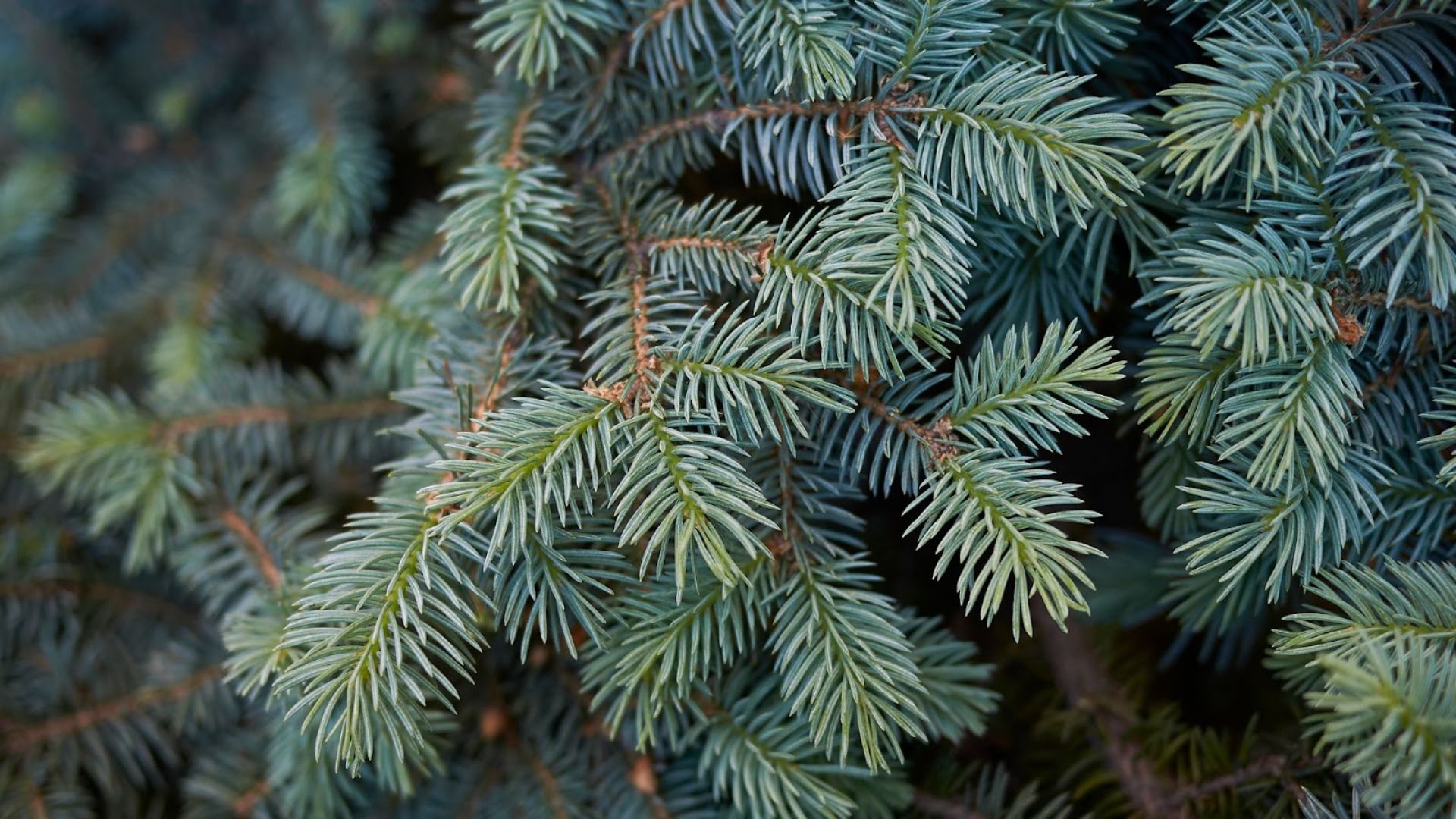 851-Billeder i mails og artikler (1920 × 1080px) (13).jpg