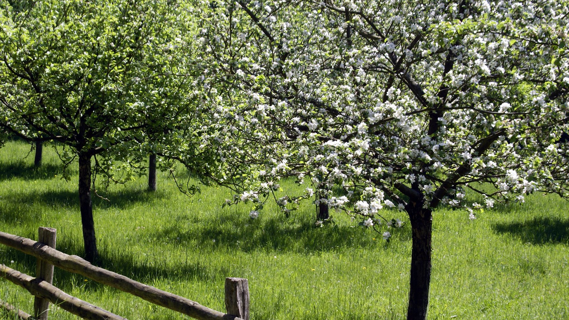 851-Billeder i mails og artikler (1920 × 1080px) - 2023-09-05T114928.581.jpg