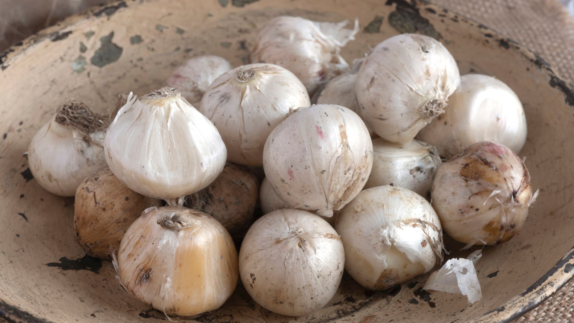 852-Billeder i mails og artikler (1920 × 1080px) (81).jpg