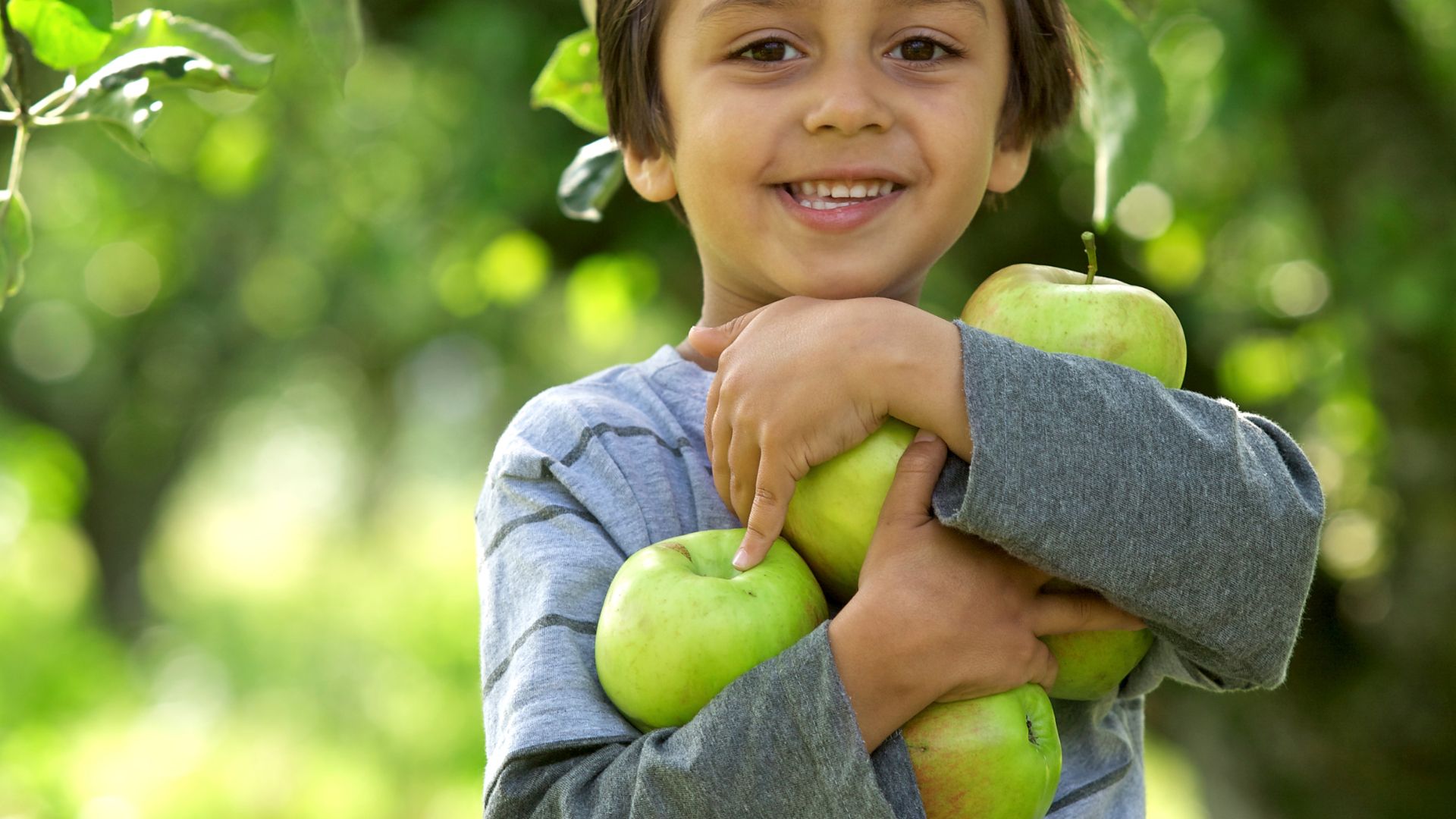 858-Billeder i mails og artikler (1920 × 1080px) - 2024-03-06T130103.768.jpg