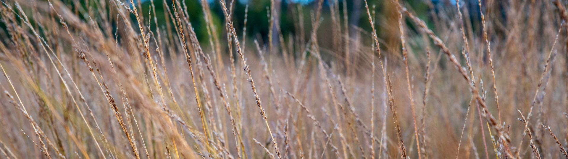 862-til lister (1920 × 540px) (1).jpg