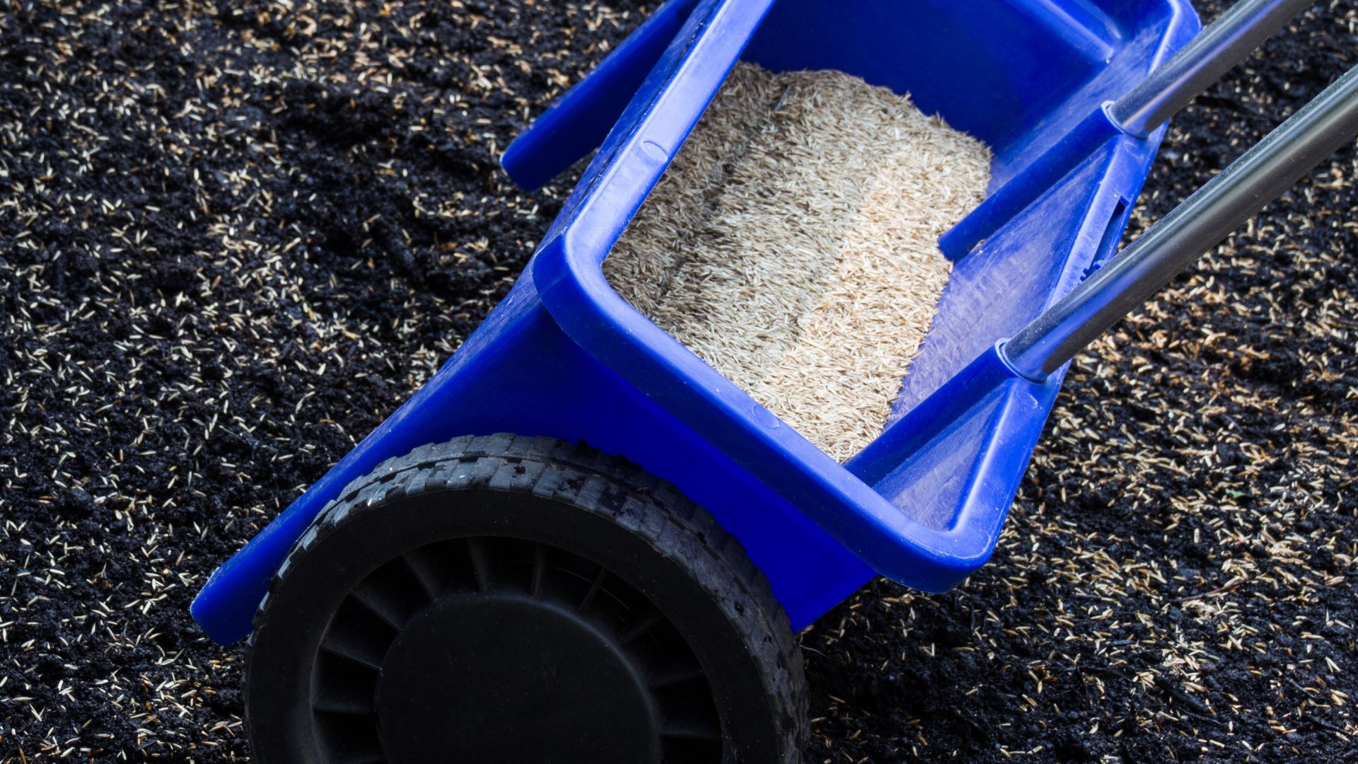 865-Billeder i mails og artikler (1920 × 1080px) - 2023-12-19T135159.242.jpg