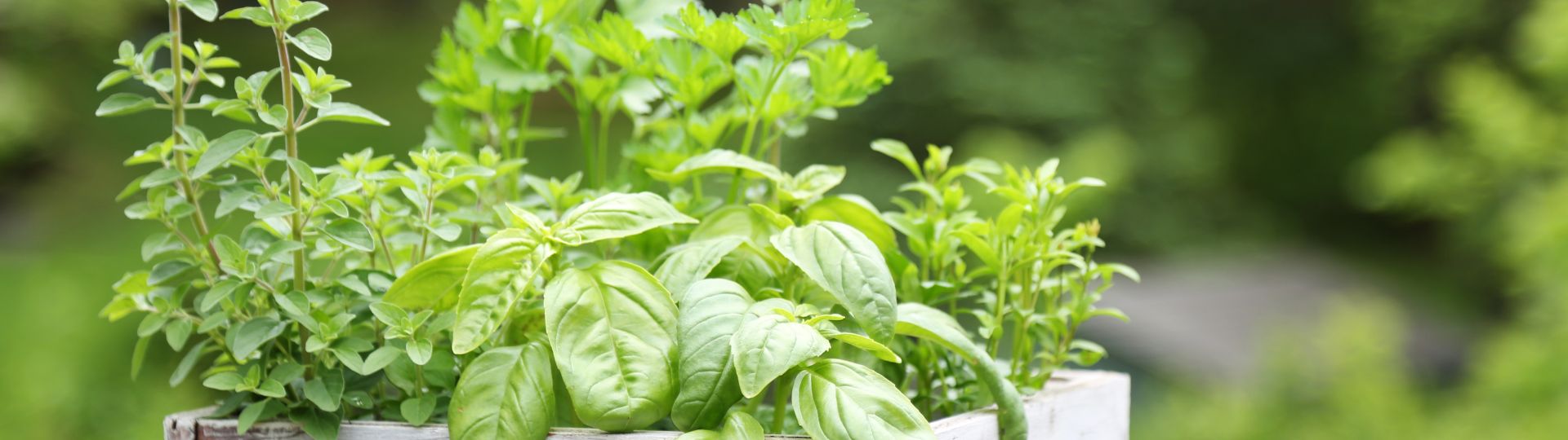 877-til lister (1920 × 540px) (10).jpg