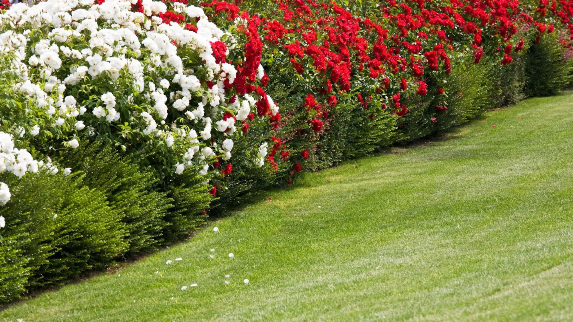 88-Billeder i mails og artikler (1920 × 1080px) (23).jpg