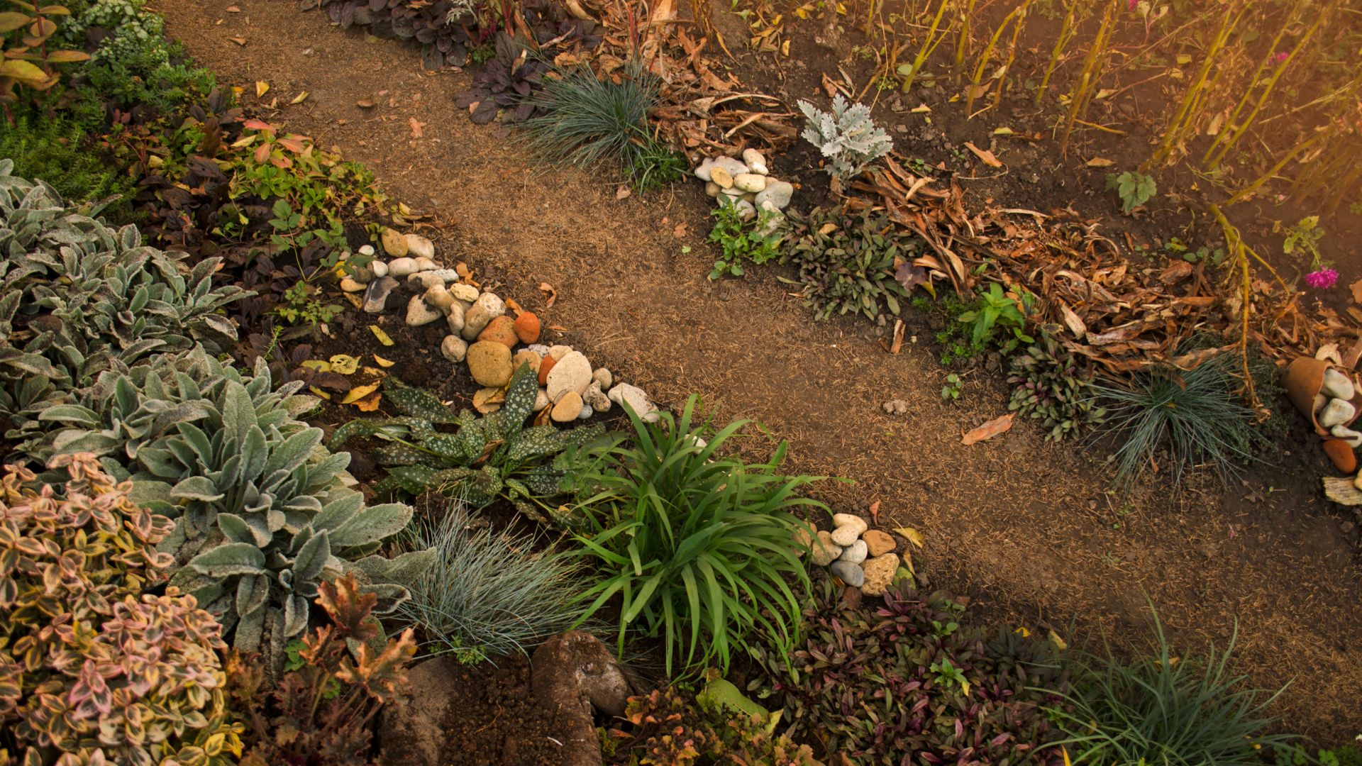 887-Billeder i mails og artikler (1920 × 1080px) - 2023-10-19T124301.703.jpg