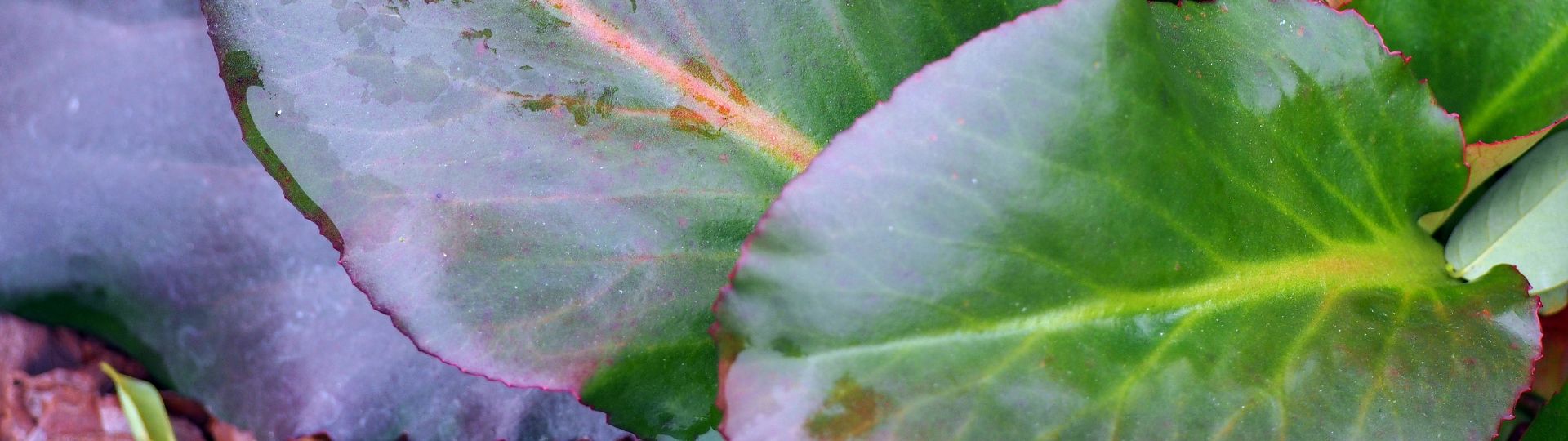 887-til lister (1920 × 540px) (18).jpg