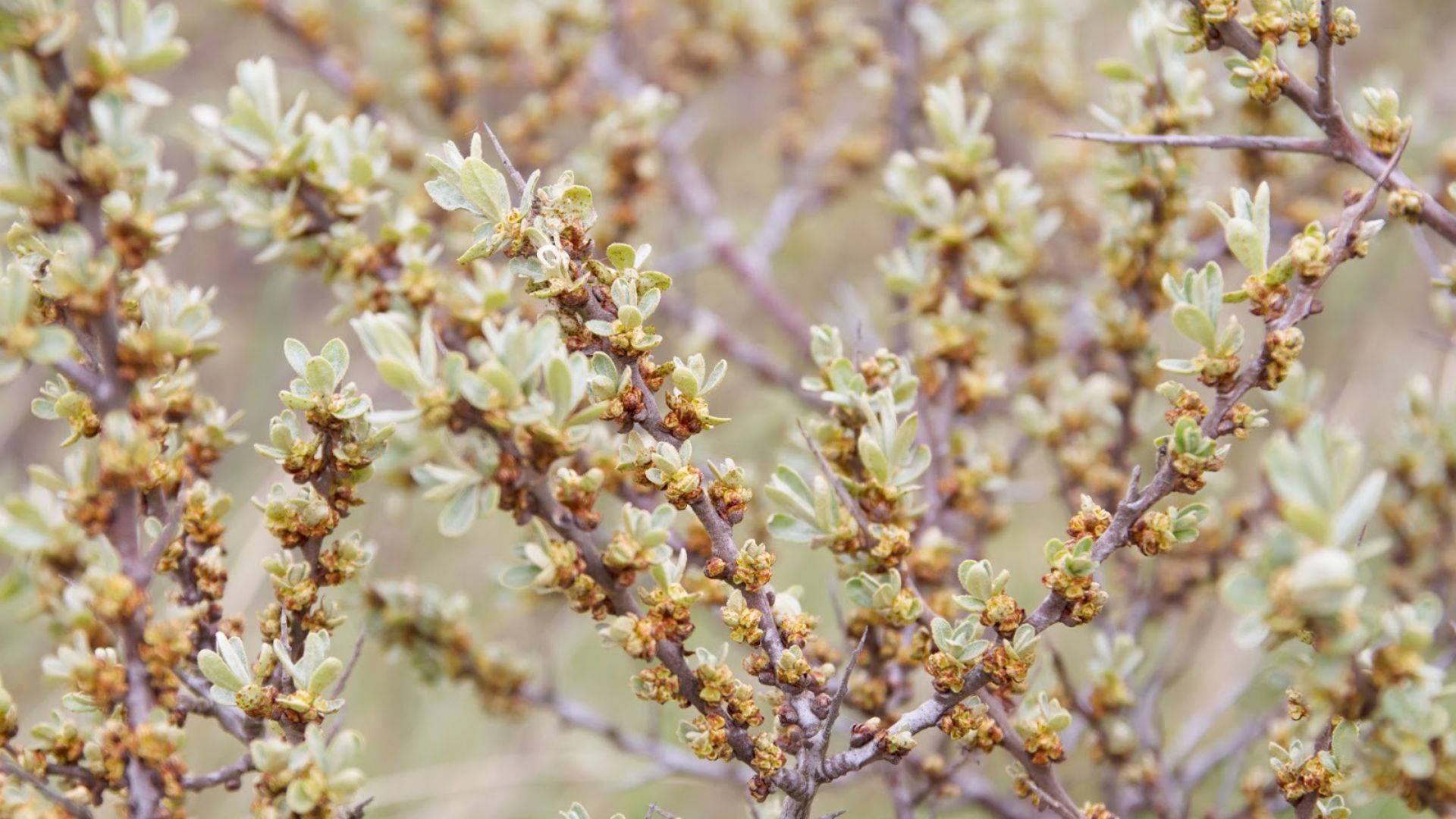 891-Billeder i mails og artikler (1920 × 1080px) (61).jpg